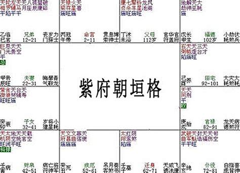 紫微命格種類|紫微斗數之11種常用格局